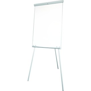 FLIPCHART 2X3 ECOBOARDS 2012 2x3