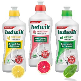 Płyn do naczyń Ludwik 450ml Mięta LUDWIK