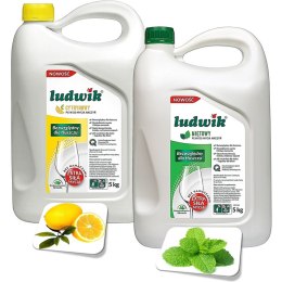 Płyn do naczyń Ludwik 5L Mięta LUDWIK