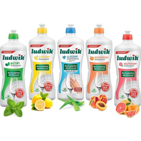 Płyn do naczyń Ludwik 900ml Mięta LUDWIK