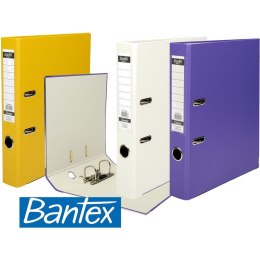 Segregator Bantex Budget Classic A4/50mm biały, BIAŁY Bantex