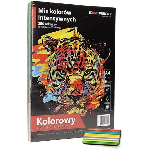 Papier Emerson A4/80g intensywny 5 kolorów (5x20) Emerson