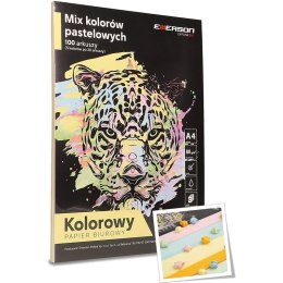 Papier Emerson A4/80g pastelowy 5 kolorów (5x20) Emerson