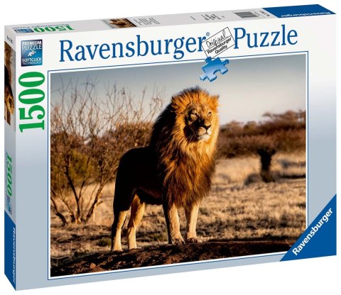 Ravensburger Puzzle 2D 1500 elementów: Lew 17107 Ravensburger