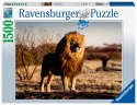 Ravensburger Puzzle 2D 1500 elementów: Lew 17107 Ravensburger