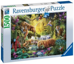 Ravensburger Puzzle 2D 1500 elementów: Spokojne tygrysy 16005 Ravensburger