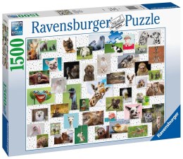 Ravensburger Puzzle 2D 1500 elementów: Zabawne zwierzaki 16711 Ravensburger