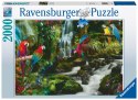 Ravensburger Puzzle 2D 2000 elementów: Papugi w dżungli 17111 Ravensburger