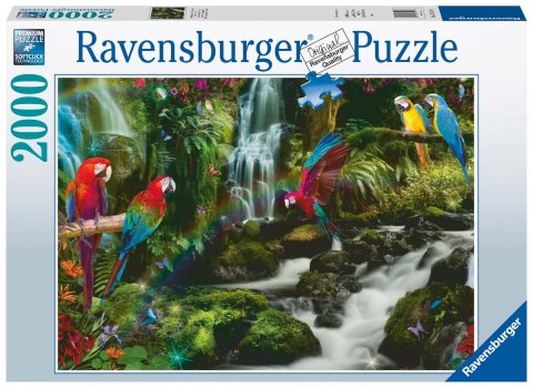 Ravensburger Puzzle 2D 2000 elementów: Papugi w dżungli 17111 Ravensburger