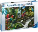 Ravensburger Puzzle 2D 2000 elementów: Papugi w dżungli 17111 Ravensburger