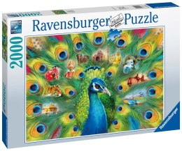 Ravensburger Puzzle 2D 2000 elementów: Pawia Kraina 16567 Ravensburger