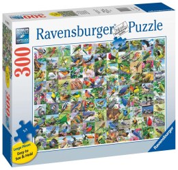 Ravensburger Puzzle 2D duży format: 99 zachwycających ptaków 300 elementów 16937 Ravensburger