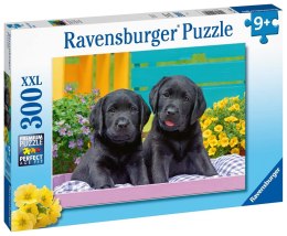 Ravensburger Puzzle dla dzieci 2D: Pupile 300 elementów 12950 Ravensburger