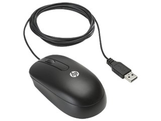 HP USB Optical Scroll Mouse myszka Oburęczny USB Typu-A Optyczny 800 DPI HP