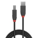 Lindy 36672 kabel USB 1 m USB 2.0 USB A USB B Czarny Lindy