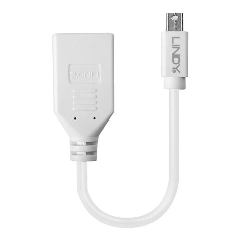 Lindy 41021 kabel DisplayPort 0,15 m Mini DisplayPort Biały Lindy