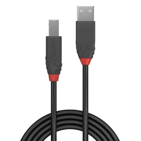 Lindy 36673 kabel USB 2 m USB 2.0 USB A USB B Czarny Lindy