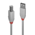 Lindy 36683 kabel USB 2 m USB 2.0 USB A USB B Szary Lindy