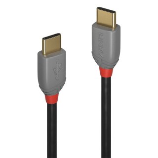 Lindy 36871 kabel USB 1 m USB 2.0 USB C Czarny, Szary Lindy