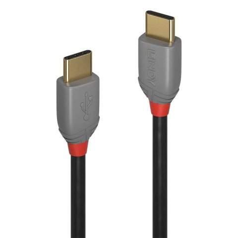 Lindy 36873 kabel USB 3 m USB 2.0 USB C Czarny, Szary Lindy