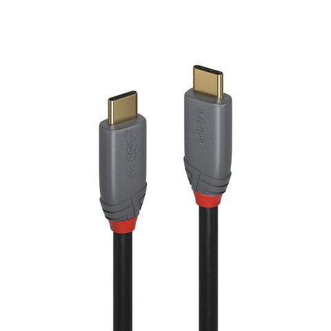 Lindy 36900 kabel USB 0,5 m USB C Czarny, Szary Lindy