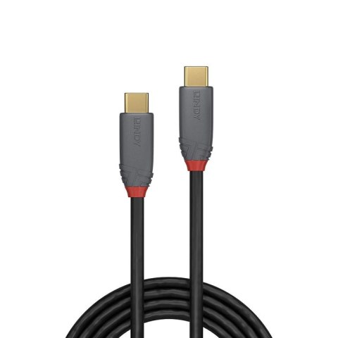 Lindy 36900 kabel USB 0,5 m USB C Czarny, Szary Lindy