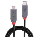 Lindy 36958 kabel USB 2 m USB4 Gen 3x2 USB C Czarny Lindy