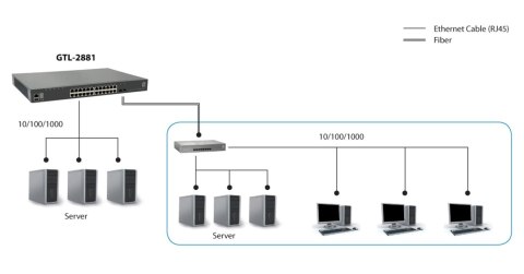 LevelOne GTL-2881 łącza sieciowe Zarządzany L3 Gigabit Ethernet (10/100/1000) Szary LevelOne