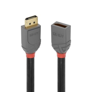 Lindy 36498 kabel DisplayPort 3 m Czarny Lindy