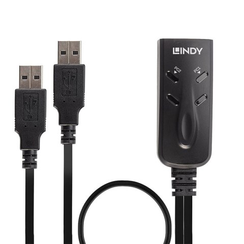 Lindy 32165 przełącznik KVM Czarny Lindy