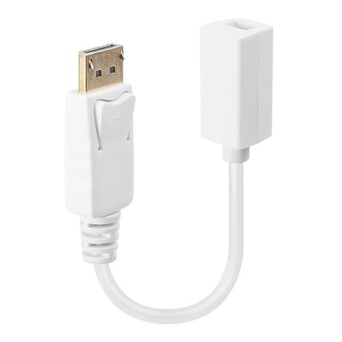 Lindy 41060 adapter kablowy 0,15 m DisplayPort Mini DisplayPort Biały Lindy