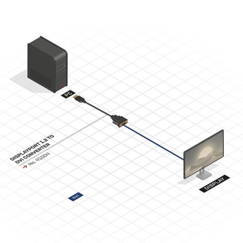 Lindy 41004 adapter kablowy 0,15 m DisplayPort DVI-D Czarny Lindy