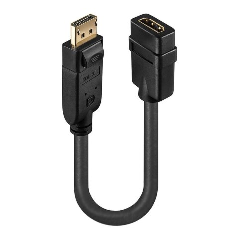 Lindy 41005 adapter kablowy 0,15 m DisplayPort HDMI Czarny Lindy