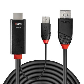 Lindy 41499 adapter kablowy 2 m HDMI + USB Type-A DisplayPort Czarny Lindy