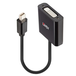 Lindy 41736 zmieniacz płci / kabli Mini DisplayPort DVI-D Czarny Lindy