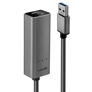 Lindy 43313 zmieniacz płci / kabli USB-A RJ-45 Srebrny Lindy