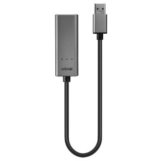 Lindy 43313 zmieniacz płci / kabli USB-A RJ-45 Srebrny Lindy