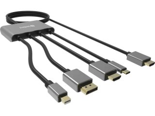 Sandberg 509-21 adapter kablowy 2 m HDMI Typu A (Standard) DisplayPort + Mini DisplayPort + HDMI + USB Type-C Czarny Sandberg