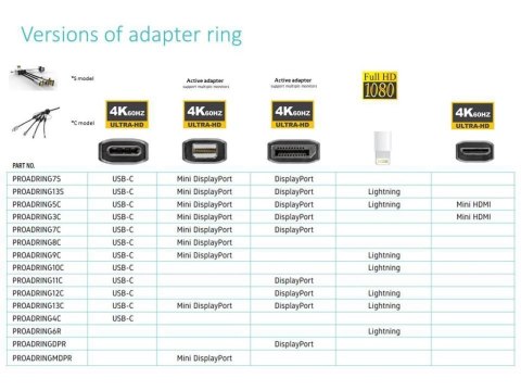 Vivolink PROADRINGDPR adapter kablowy 0,1 m DisplayPort HDMI Czarny Vivolink