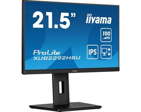 Iiyama ProLite XUB2292HSU-B6 monitor komputerowy 55,9 cm (22") 1920 x 1080 px Full HD LED Czarny Iiyama