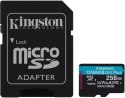 Karta pamięci microSD Kingston Canvas Go Plus microSDXC C10 UHS-I 256GB KINGSTON