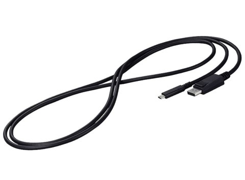 EIZO CP200-BK kabel DisplayPort 2 m USB C Czarny EIZO