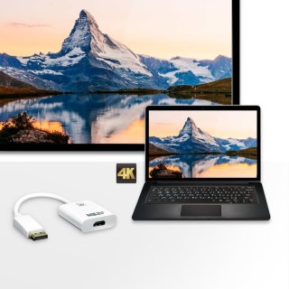 ATEN VC986 adapter kablowy DisplayPort HDMI Biały ATEN