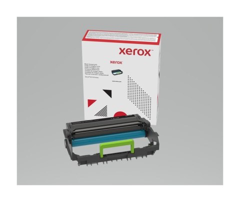 Xerox 013R00690 element światłoczuły 4000 stron(y) Xerox