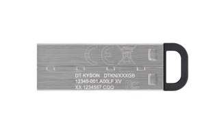 Kingston Technology DataTraveler Kyson pamięć USB 256 GB USB Typu-A 3.2 Gen 1 (3.1 Gen 1) Srebrny Kingston Technology