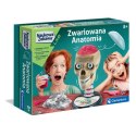 Zestaw edukacyjny Zwariowana Anatomia