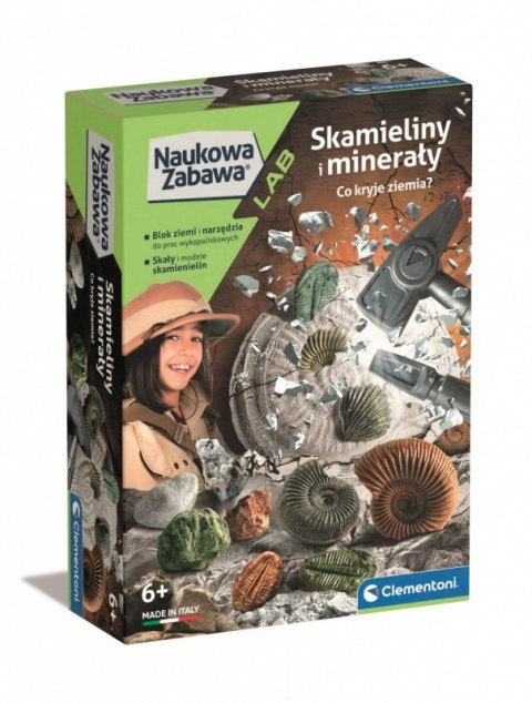 Zestaw naukowy Skamieliny i Minerały