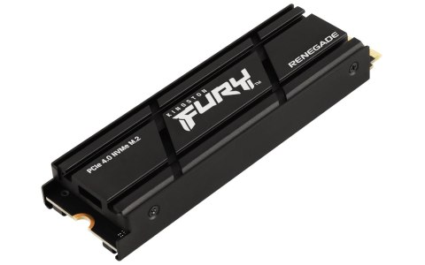 Kingston Technology FURY Renegade M.2 1000 GB PCI Express 4.0 3D TLC NVMe Kingston Technology