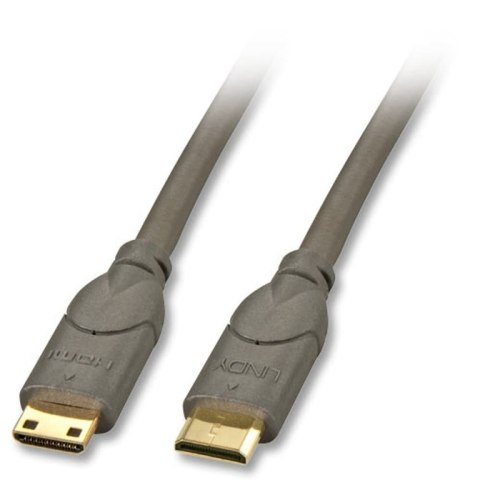 Lindy 2m HDMI CAT2 kabel HDMI HDMI Type C (Mini) Czarny Lindy