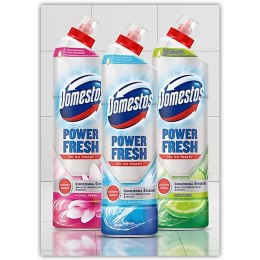 Domestos Płyn do WC Domestos Power Fresh 700ml Lime Fresh, LIME FRESH